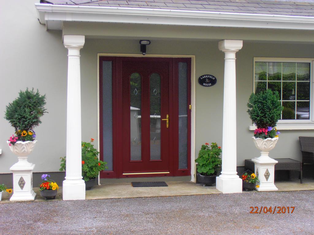 كيلارني Larkfield House B&B, Ballycasheen Kerry V93 Wd51 المظهر الخارجي الصورة