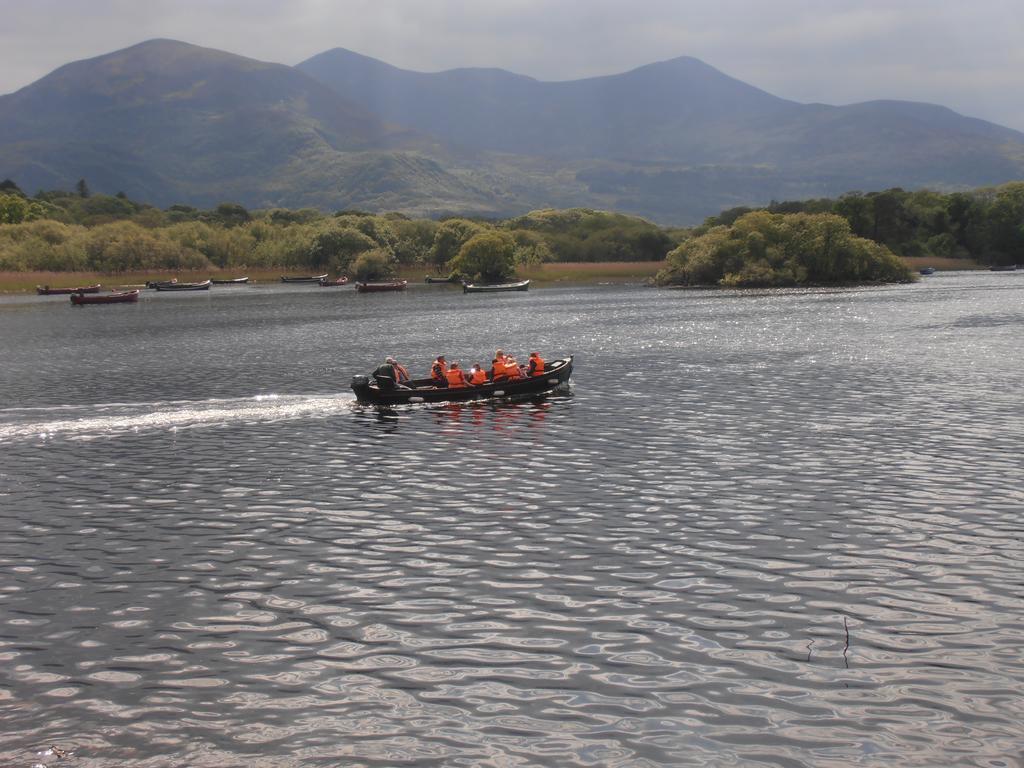 كيلارني Larkfield House B&B, Ballycasheen Kerry V93 Wd51 المظهر الخارجي الصورة