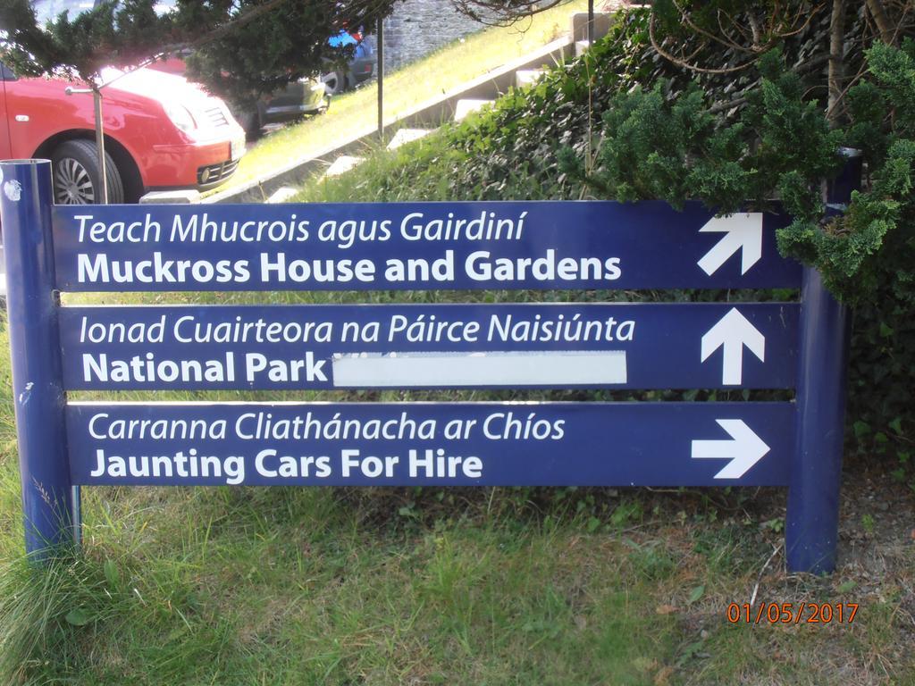 كيلارني Larkfield House B&B, Ballycasheen Kerry V93 Wd51 المظهر الخارجي الصورة