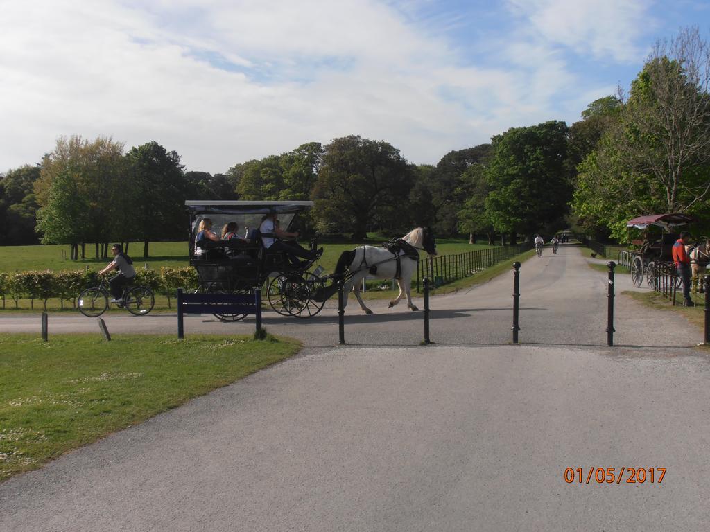 كيلارني Larkfield House B&B, Ballycasheen Kerry V93 Wd51 المظهر الخارجي الصورة