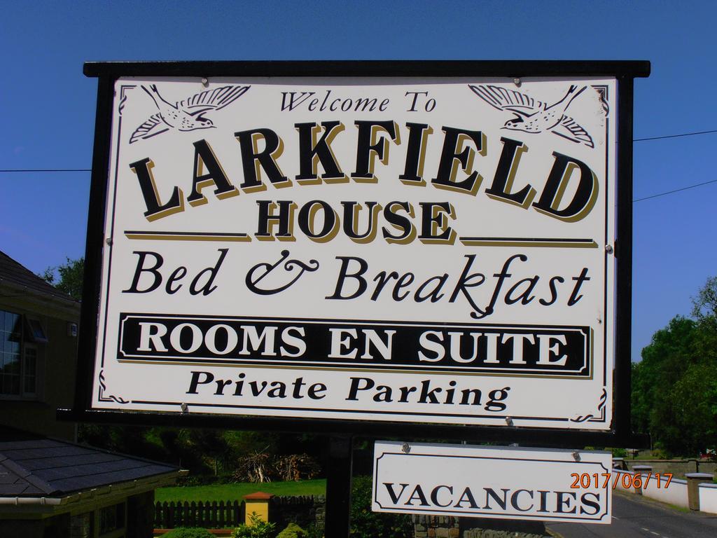 كيلارني Larkfield House B&B, Ballycasheen Kerry V93 Wd51 المظهر الخارجي الصورة